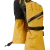 Goldenrod