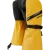 Goldenrod