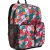 Pop Floral