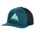 Atlantic Teal