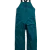 Atlantic Teal